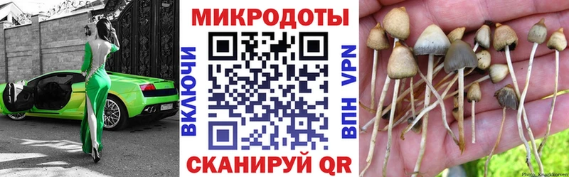 Галлюциногенные грибы GOLDEN TEACHER  Ахтырский 
